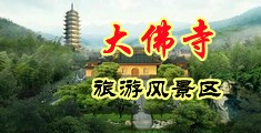 肉棒插逼毛片网中国浙江-新昌大佛寺旅游风景区